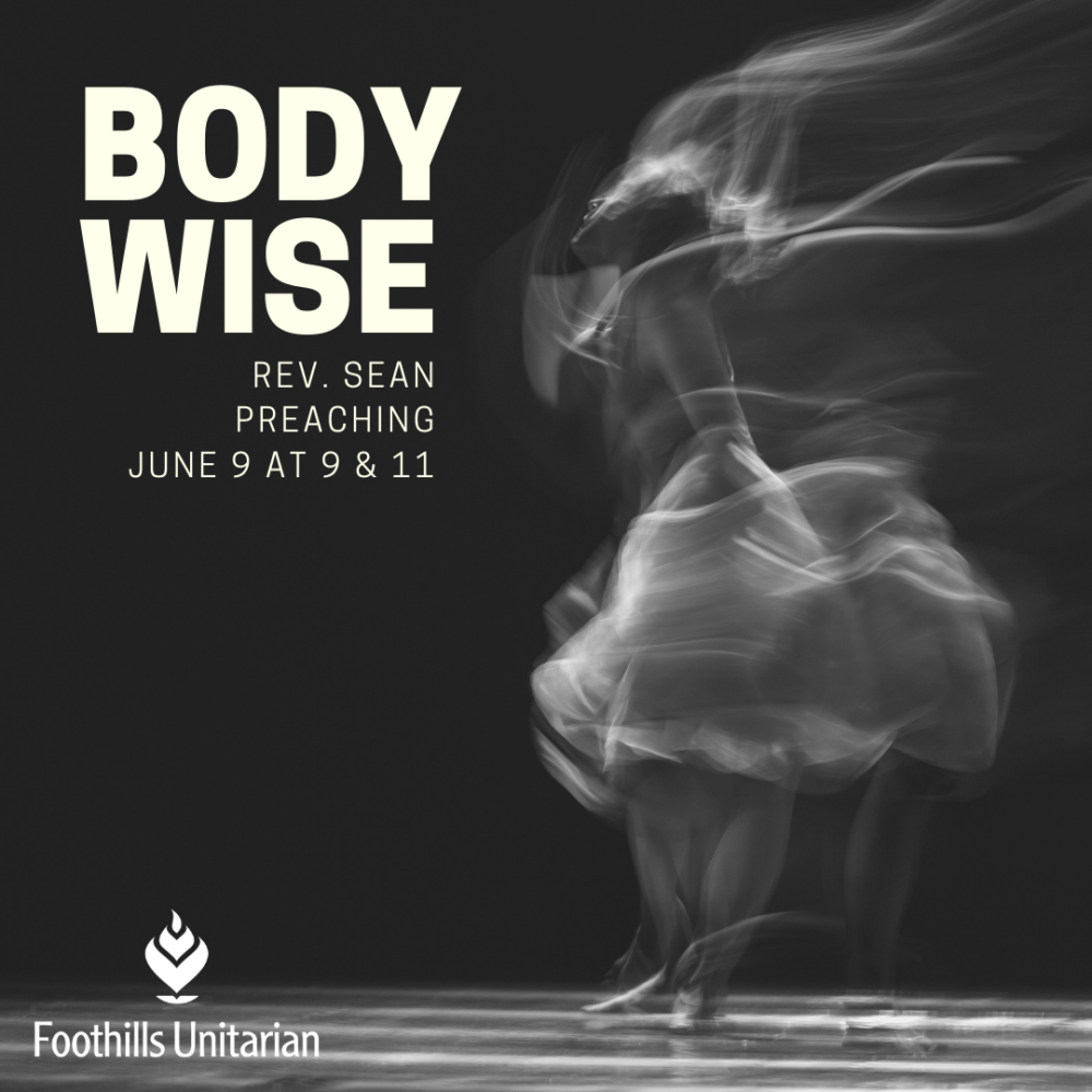 Body Wise Image