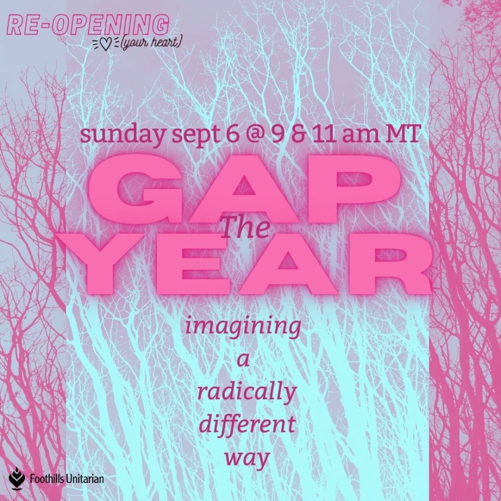 The Gap Year Image
