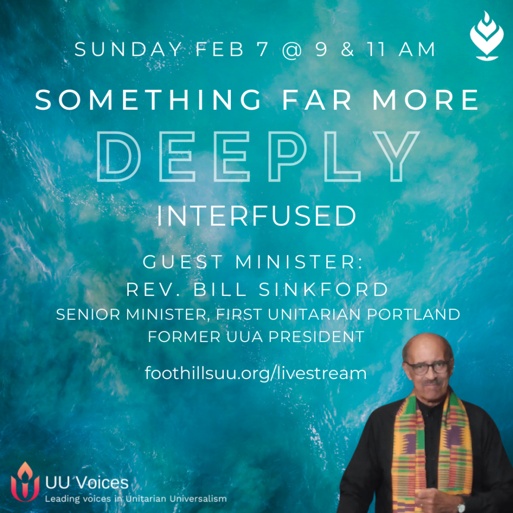 Homily: Something Far More Deeply Interfused | Rev. Bill Sinkford | February 7, 2021 Image