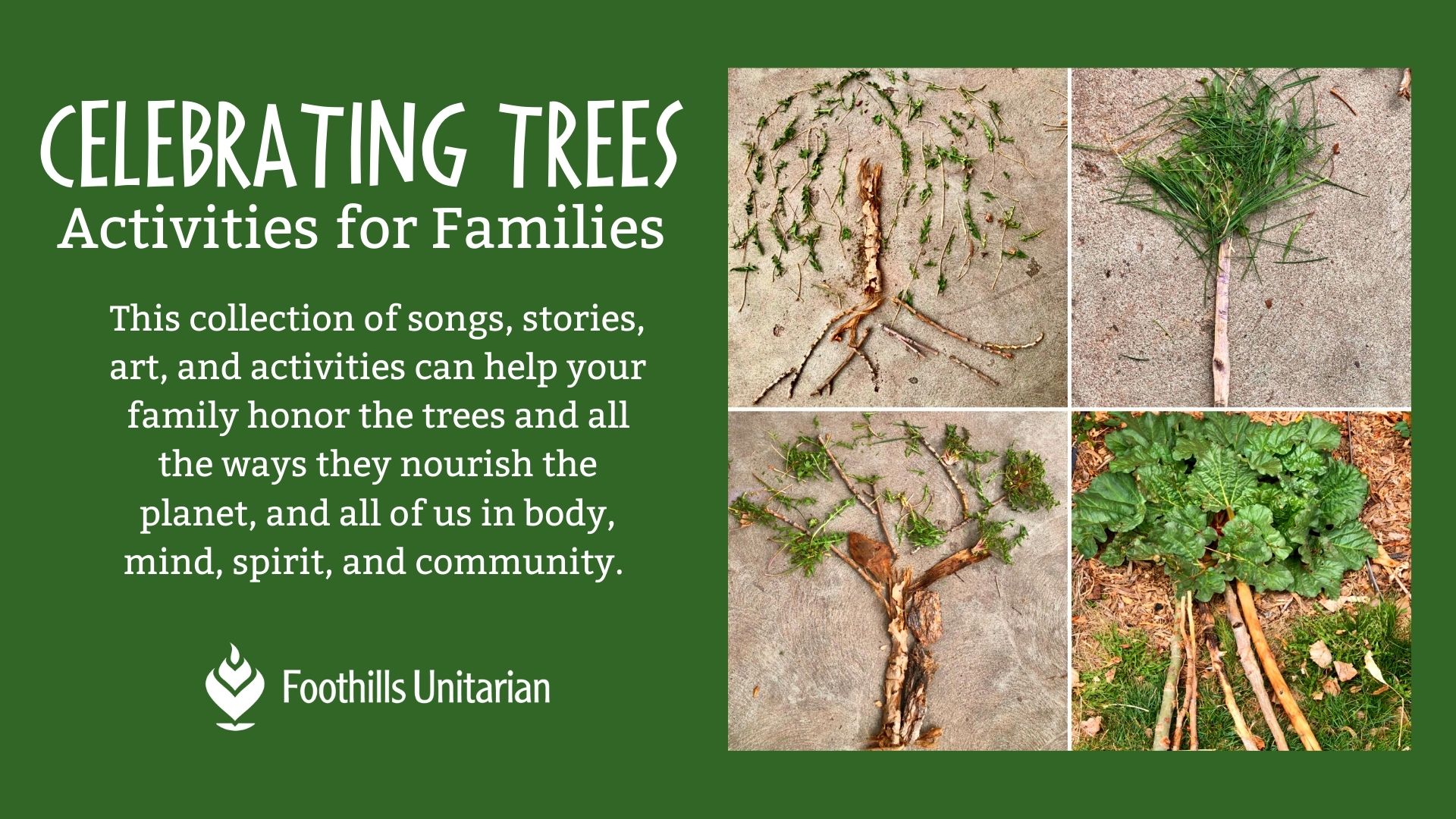 Celebrating Trees – Family Activities