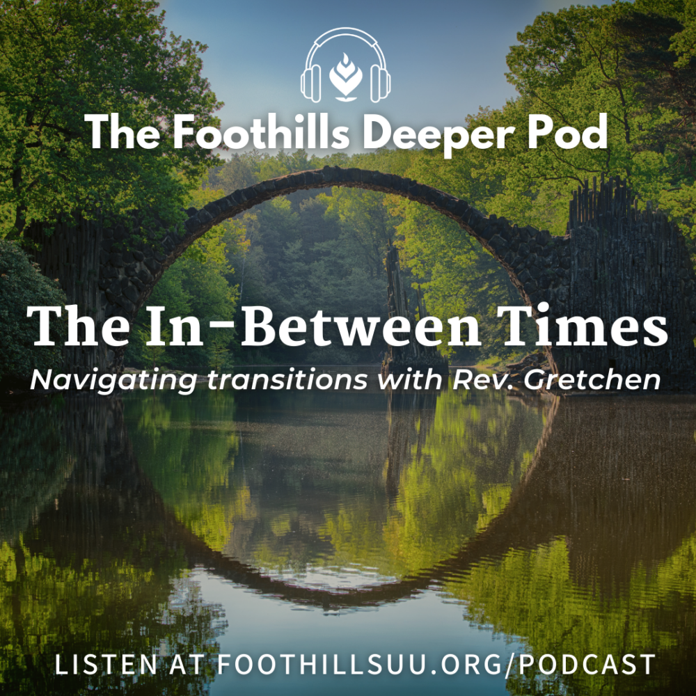 The In-Between Times: Navigating Transition with Rev. Gretchen