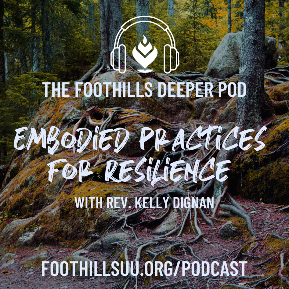 Embodied Practices for Resilience with Rev. Kelly Dignan Image