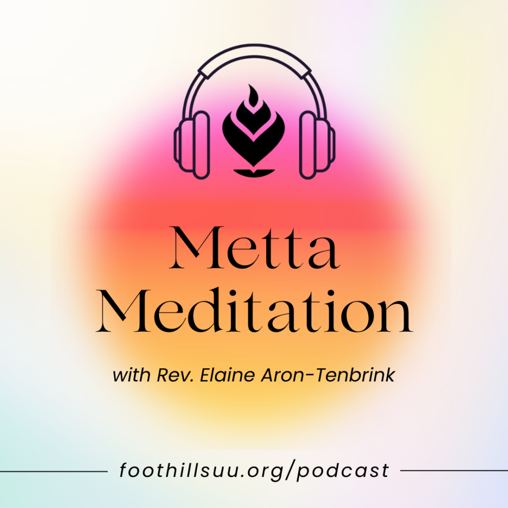 Guided Metta Meditation with Rev. Elaine