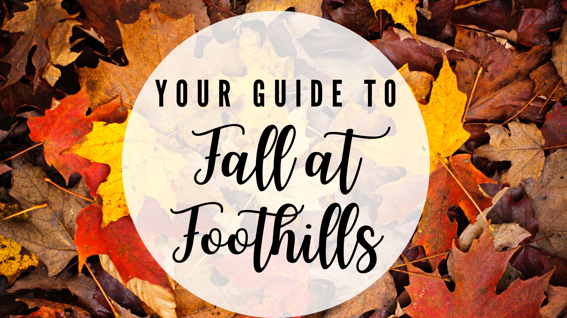 Your Guide to Fall at Foothills!
