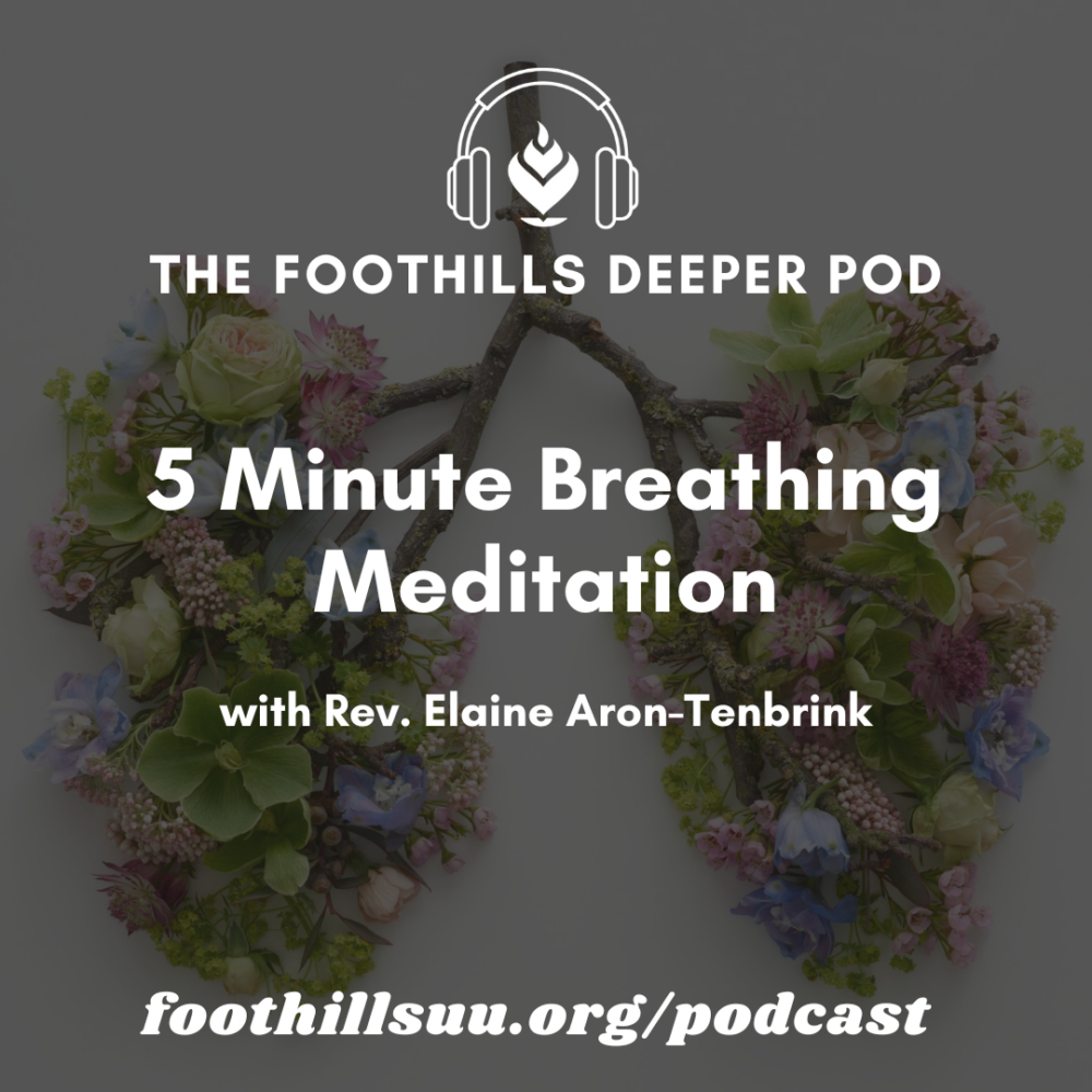 5 Minute Breathing Meditation Image