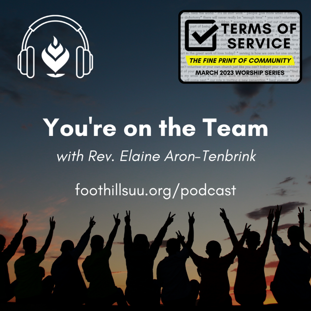 You\'re on the Team