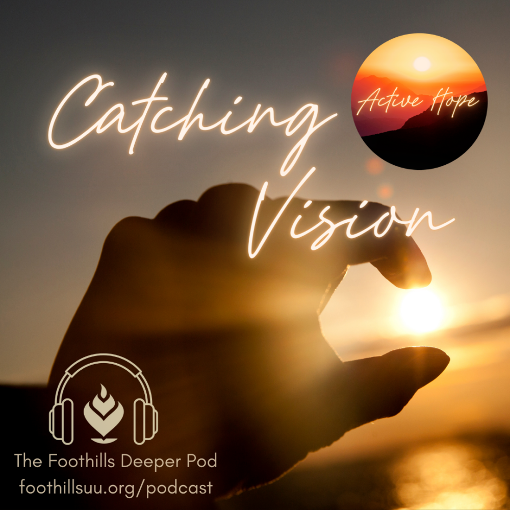 Catching Vision