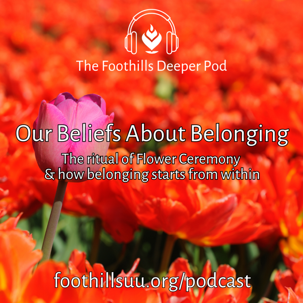 Our Beliefs About Belonging