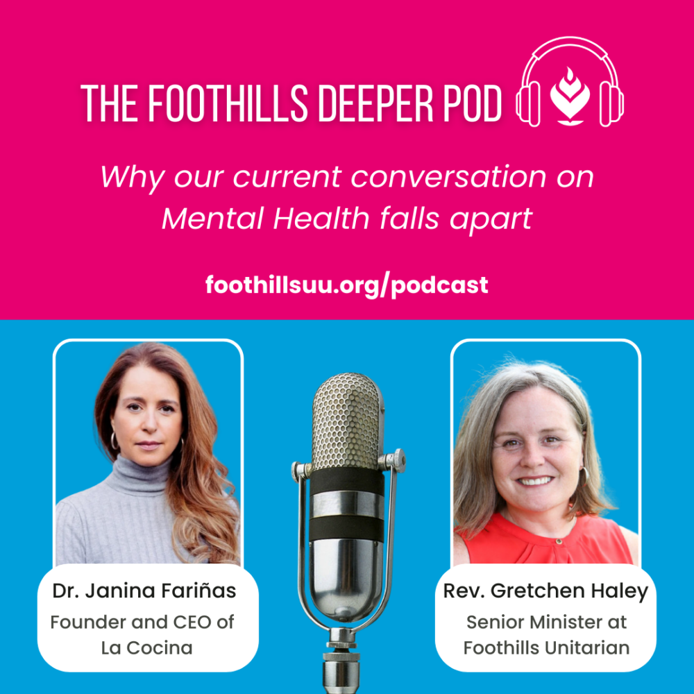 Why our current conversation on Mental Health falls apart with Dr. Janina E. Fariñas